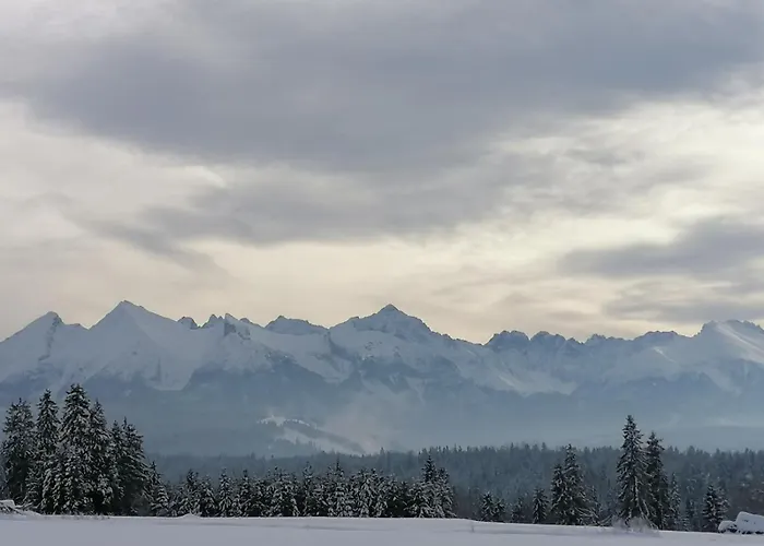 Alpesi faház Wioska Rusinski *